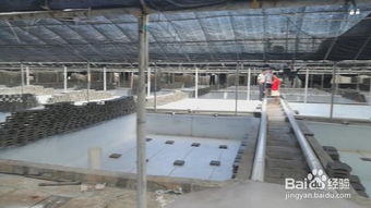 虾池漆 养虾池漆 工厂化水产养殖专用施工规范