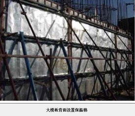 国家精品工程 鲁班奖 工艺做法图片集锦